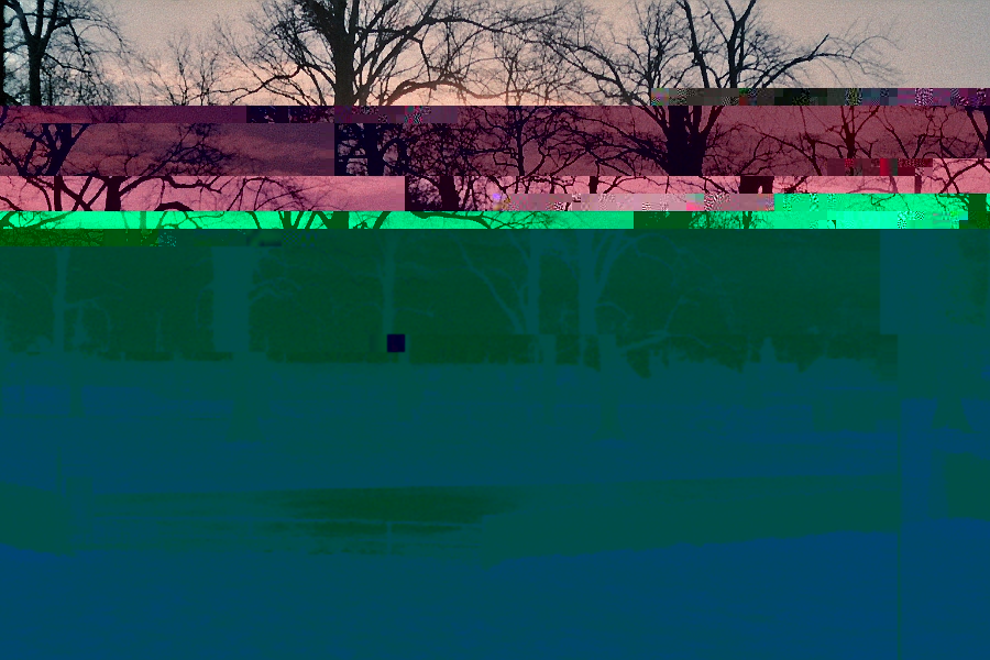 LEAD Technologies Inc. V1.01